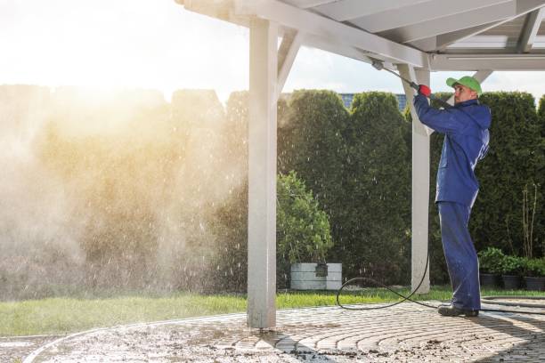 Best Roof Cleaning and Mildew Removal in Sebring, OH